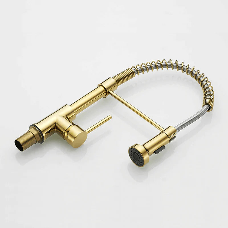 Moderner Küchenarmatur mit ausziehbarem Federbrausekopf-Aster Selection