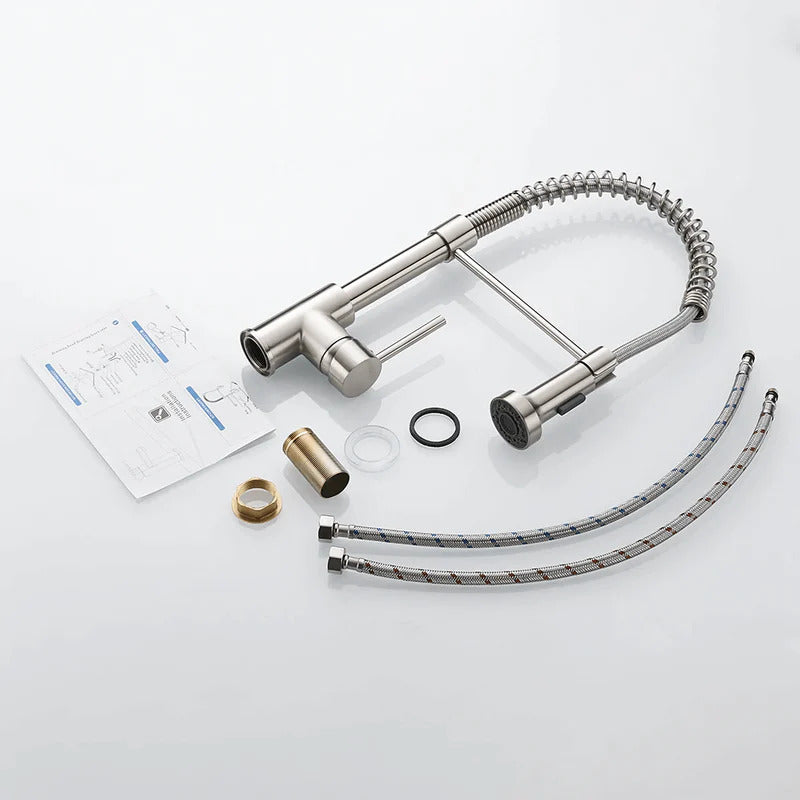 Moderner Küchenarmatur mit ausziehbarem Federbrausekopf-Aster Selection