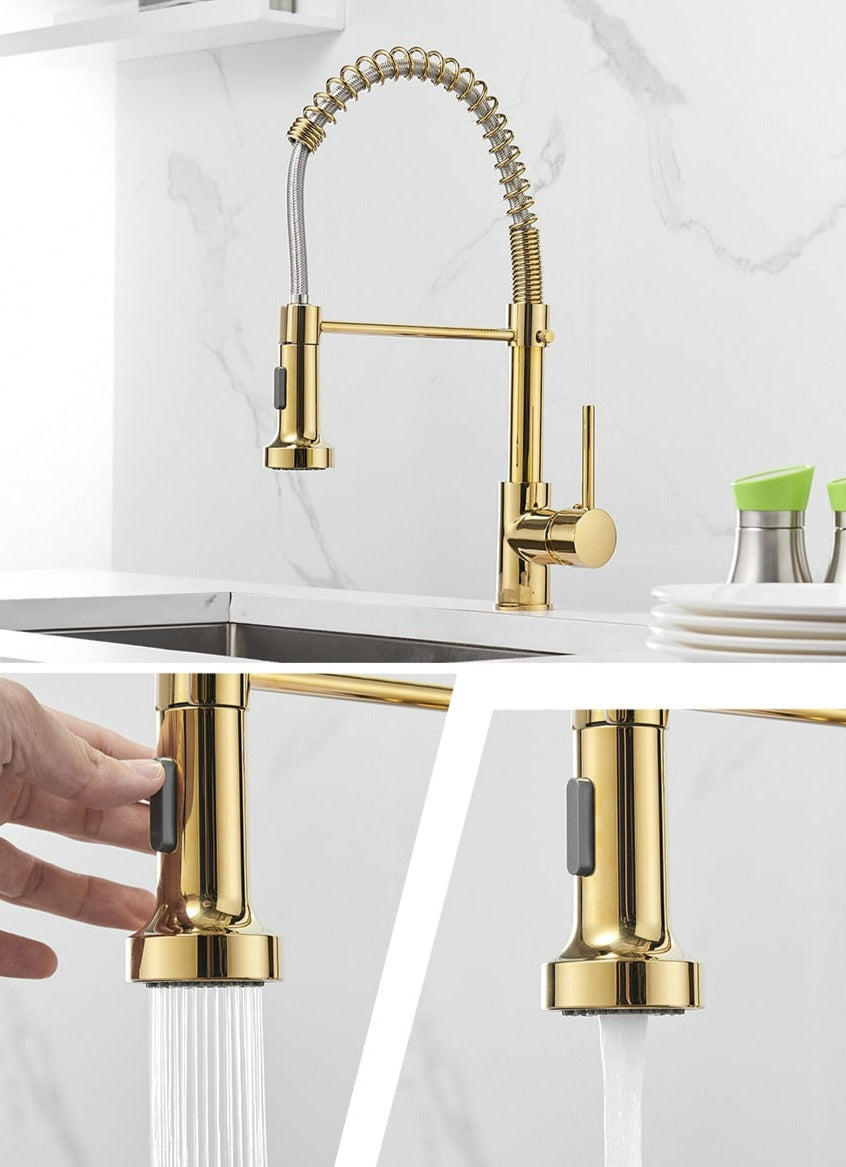 Moderner Küchenarmatur mit ausziehbarem Federbrausekopf-Aster Selection