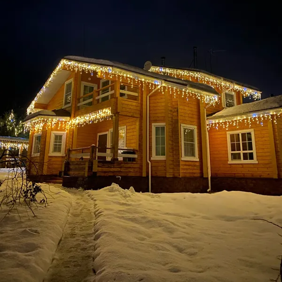 Festive outdoor Christmas lights for your garden