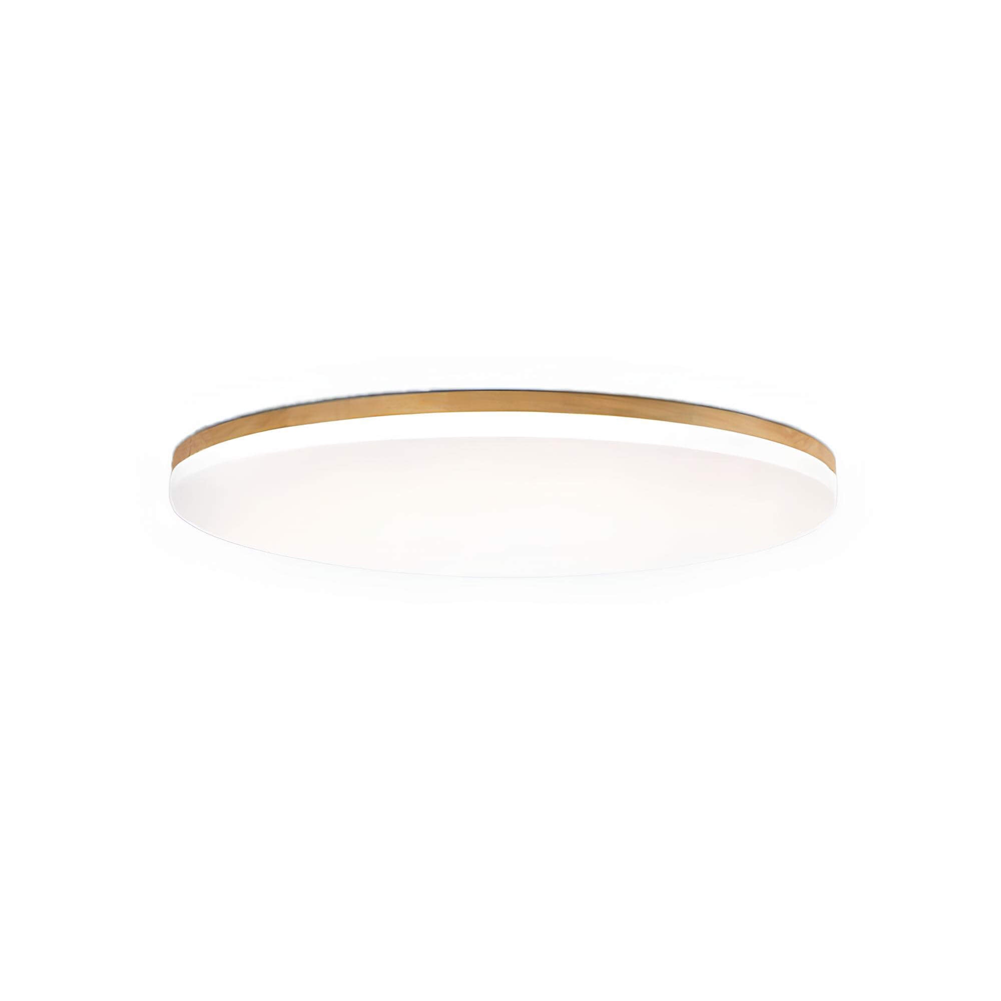 Moderne LED-Deckenlampe-Aster Selection