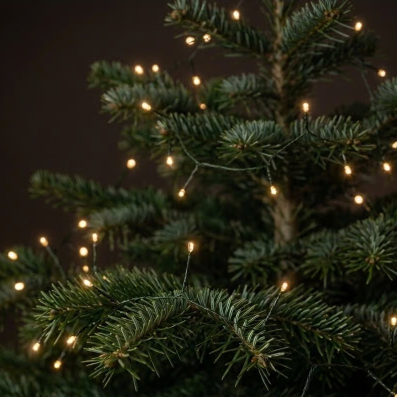 Ambrelo Klassisch Kupferdraht LED-Lichterkette
