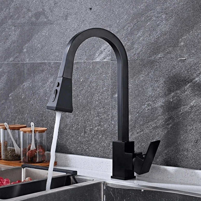 Moderner ausziehbarer Küchenwasserhahn-Aster Selection