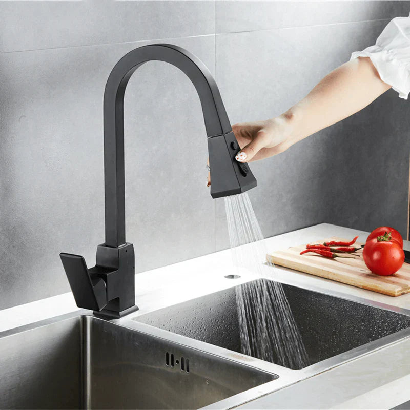 Moderner ausziehbarer Küchenwasserhahn-Aster Selection