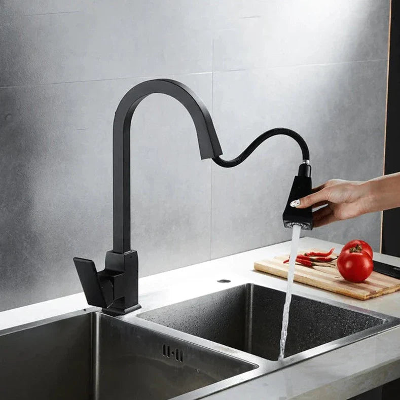 Moderner ausziehbarer Küchenwasserhahn-Aster Selection