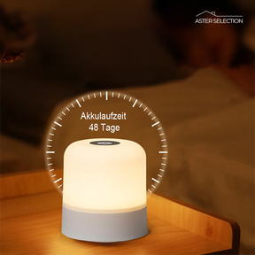 Touch LED Weihnachts-Nachtlicht