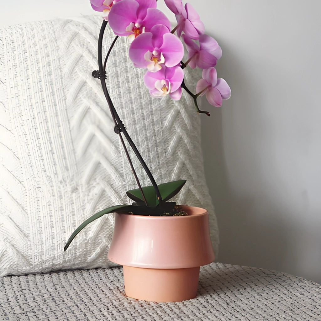 Keramik-Blumentopf mit eleganter Ästhetik – Perfekt für jedes Zuhause