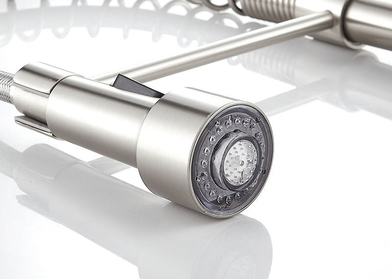 Moderner Küchenarmatur mit ausziehbarem Federbrausekopf-Aster Selection