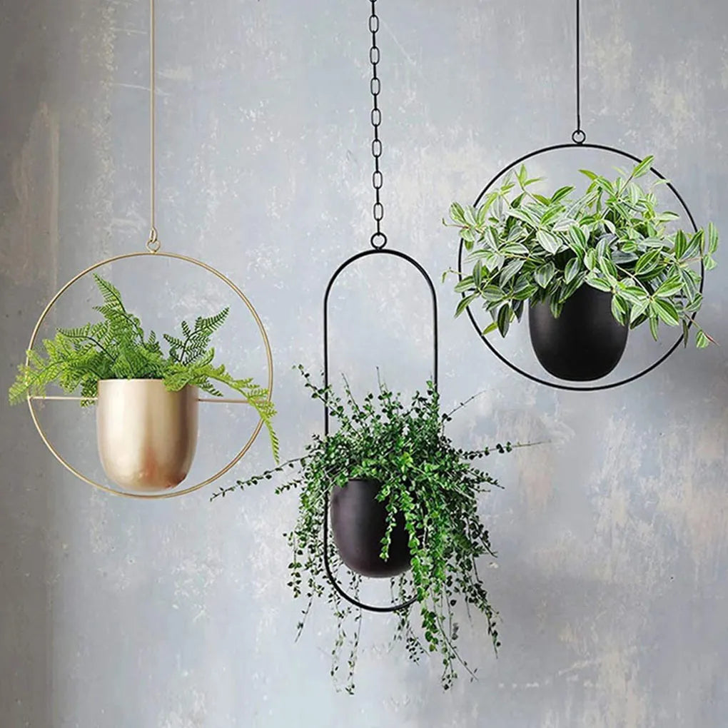 Minimalistischer Hänge-Blumentopf – Klassisch & Modern-Aster Selection