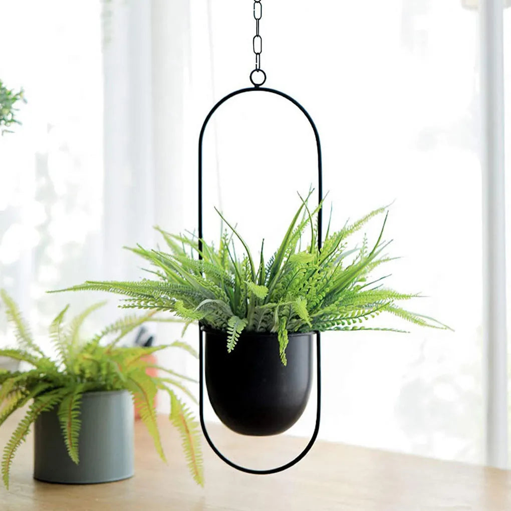 Minimalistischer Hänge-Blumentopf – Klassisch & Modern-Aster Selection