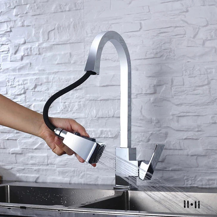 Moderner ausziehbarer Küchenwasserhahn-Aster Selection