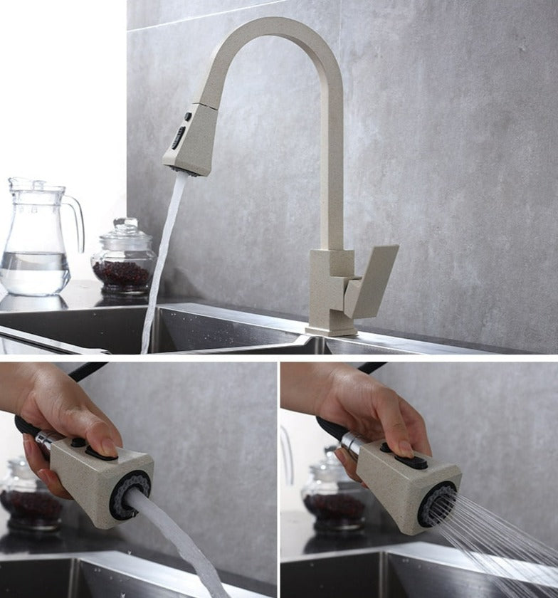 Moderner ausziehbarer Küchenwasserhahn-Aster Selection