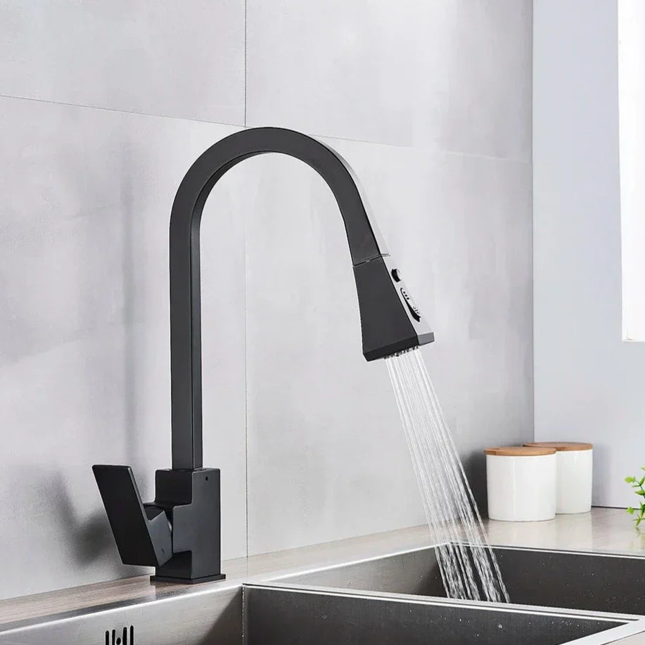 Moderner ausziehbarer Küchenwasserhahn-Aster Selection