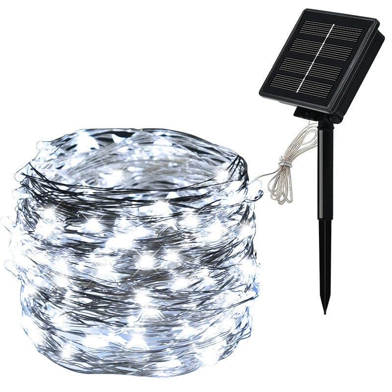 Solar LED -Funkelnde Beleuchtung für Garten & Terrasse-Aster Selection