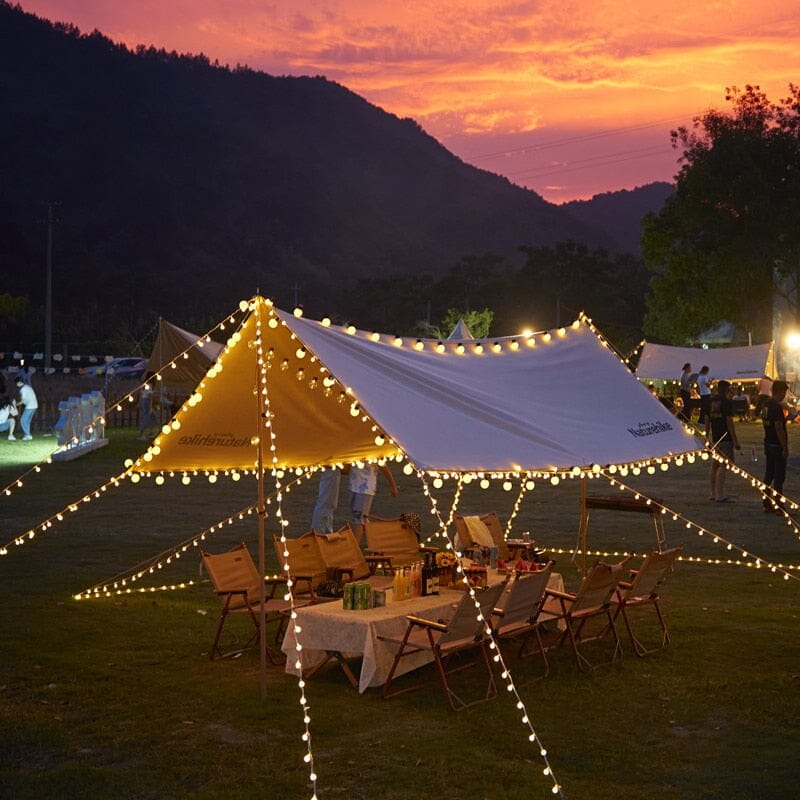 Solar LED -Funkelnde Beleuchtung für Garten & Terrasse-Aster Selection