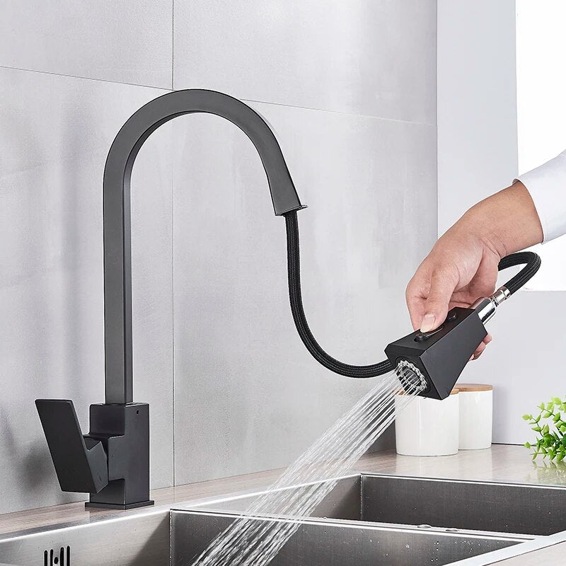 Moderner ausziehbarer Küchenwasserhahn-Aster Selection