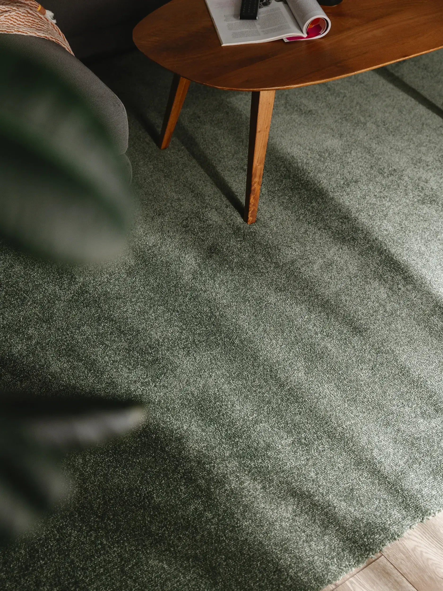 teppich waschbar,
wollteppich,
teppich wohnzimmer,
waschbarer teppich,
teppich 200x300,
teppich beige,