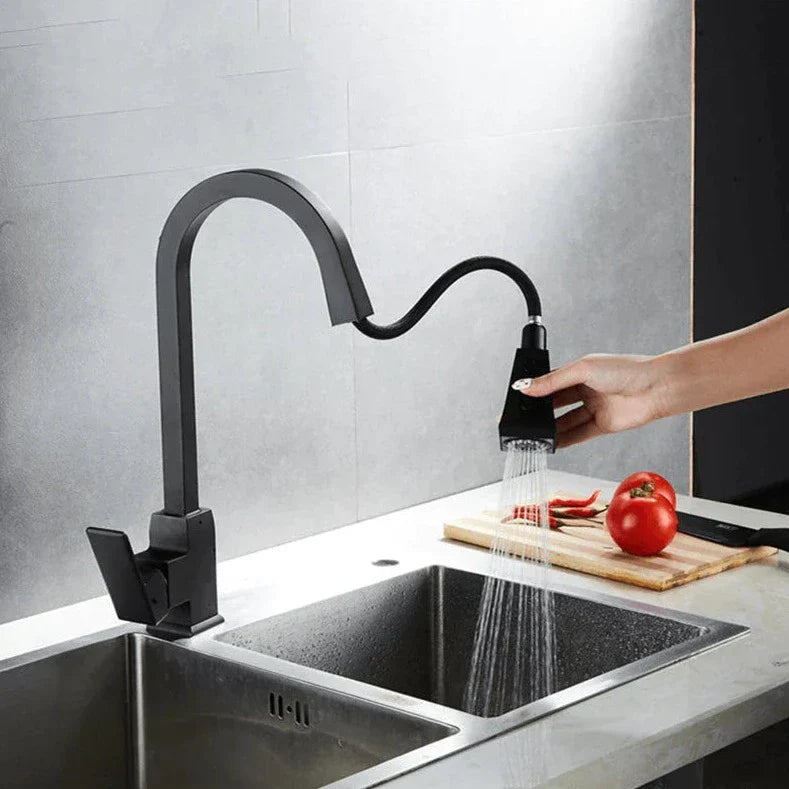 Moderner ausziehbarer Küchenwasserhahn-Aster Selection