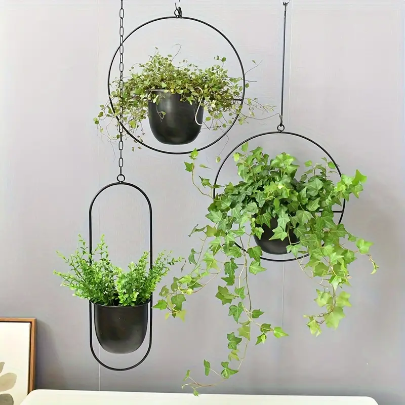 Minimalistischer Hänge-Blumentopf – Klassisch & Modern-Aster Selection