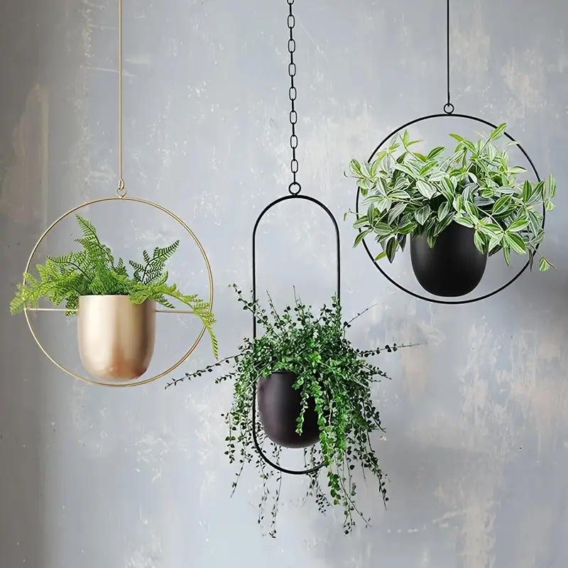Minimalistischer Hänge-Blumentopf – Klassisch & Modern-Aster Selection