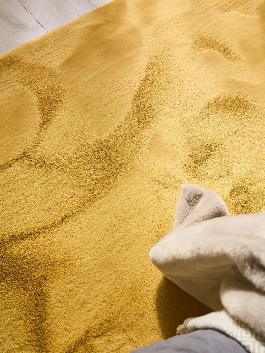 teppich waschbar,
kunstfell teppich,
fellteppich,
teppich flauschig,
fellteppich,
kunstfell teppich,
fellteppich,
weich,
flauschig,
waschbar,